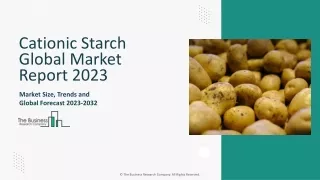 Cationic Starch Global Market 2024 - By Size, Drivers, Trends, Report 2033