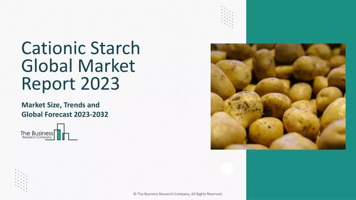 cationic starch global market report 2023