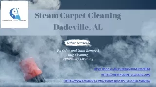 Steam Carpet Cleaning Dadeville, AL