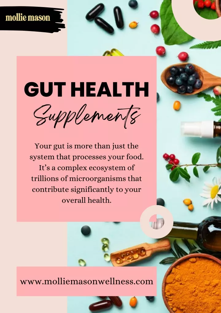 gut health supplements