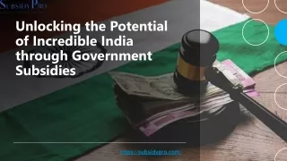 Unlocking the Potential of Incredible India through Government Subsidies_