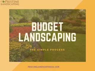 Budget Landscaping | Pristine Landscaping