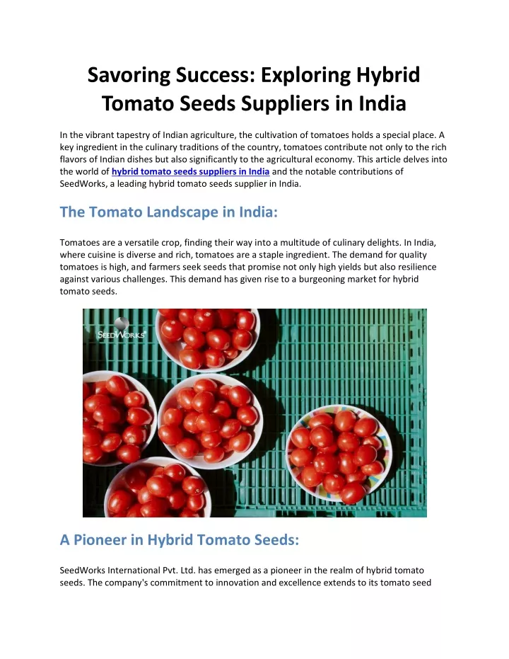 savoring success exploring hybrid tomato seeds