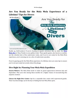 Are You Ready for the Mola Mola Experience of a Lifetime Tips for Divers