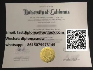 How to buy a fake University of California, Merced diploma