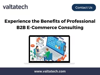 Experience the Benefits of Professional B2B E-Commerce Consulting