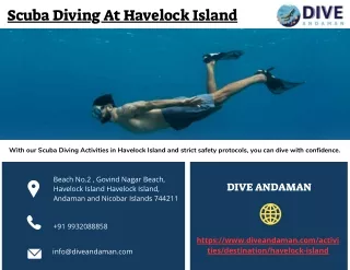 A Comprehensive Guide To Scuba Diving At Havelock Island