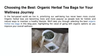 Choosing the Best_ Organic Herbal Tea Bags for Your Wellness Journey