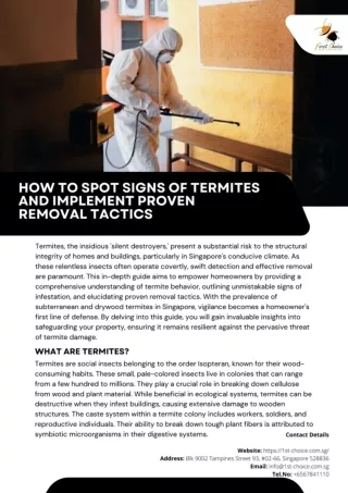 How to Spot Signs of Termites and Implement Proven Removal Tactics
