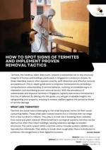 How to Spot Signs of Termites and Implement Proven Removal Tactics - slide 1