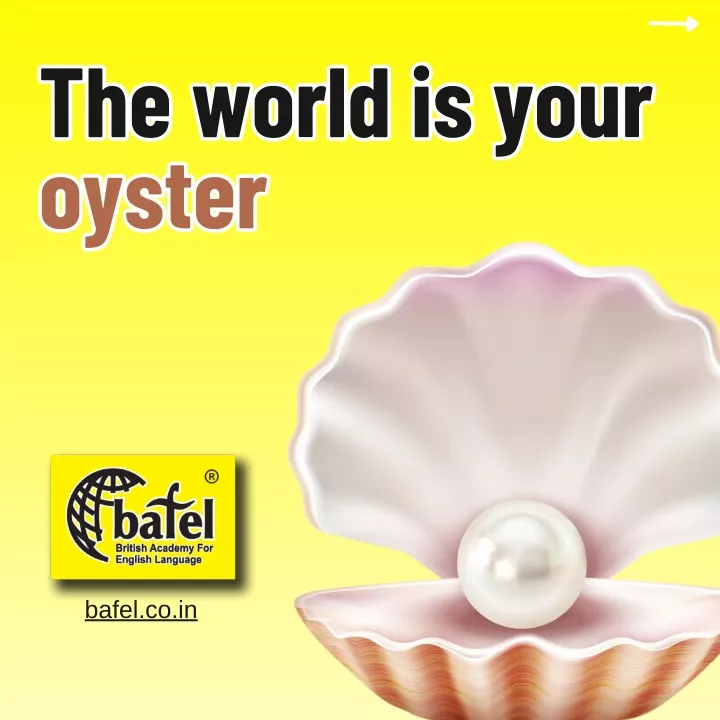 the world is your oyster oyster