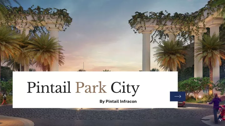 pintail park city
