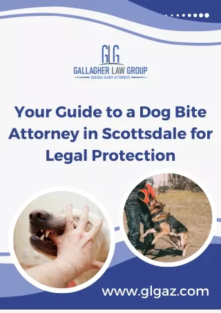 Your Guide to a Dog Bite Attorney in Scottsdale for Legal Protection