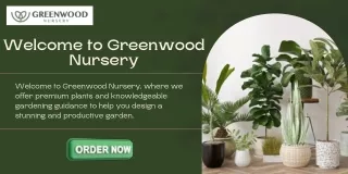 Best Online Plant Nursery Options: Selected Greener Gardens Await