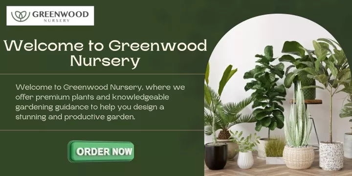 welcome to greenwood nursery