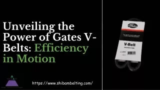 Unveiling the Power of Gates V-Belts_ Efficiency in Motion