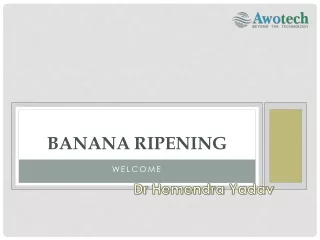 Optimal Banana Ripening Cold Room Techniques Awotech