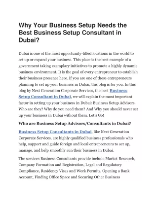 Why Your Business Setup Needs the Best Business Setup Consul1
