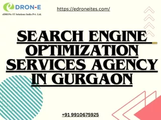 Search Engine Optimization services agency in Gurgaon