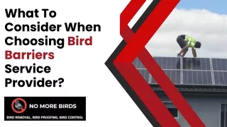What To Consider When Choosing Bird Barriers Service Provider