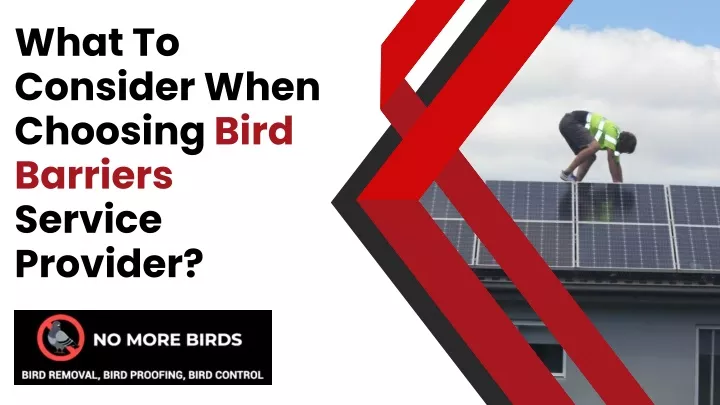 what to consider when choosing bird barriers