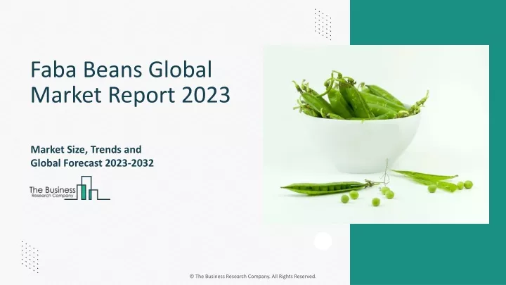 faba beans global market report 2023
