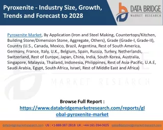 pyroxenite industry size growth trends