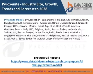 pyroxenite industry size growth trends