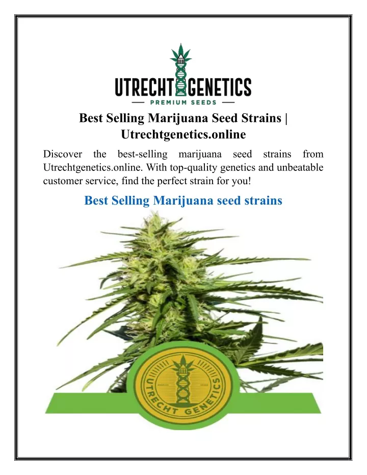 best selling marijuana seed strains