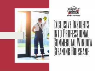 In the Exclusive Insights into Professional Commercial Window Cleaning Brisbane