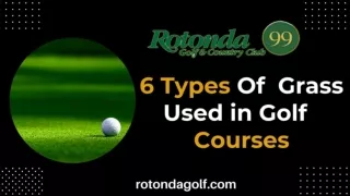 6 Types Of Grass Used in Golf Courses