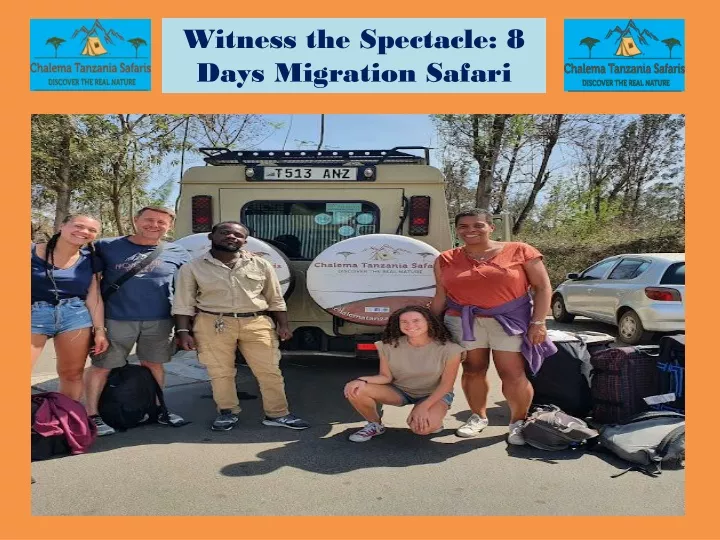 witness the spectacle 8 days migration safari