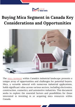 Buying Mica Segment in Canada Key Considerations and Opportunities