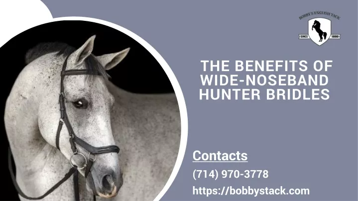 the benefits of wide noseband hunter bridles