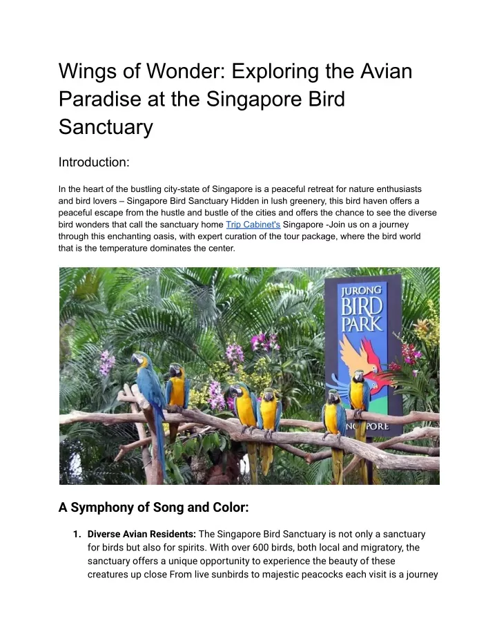 wings of wonder exploring the avian paradise