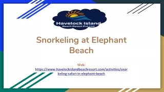Snorkeling at Elephant Beach