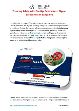 Pigeon Safety Nets in Bangalore