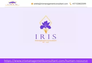 HR Consultant in UAE