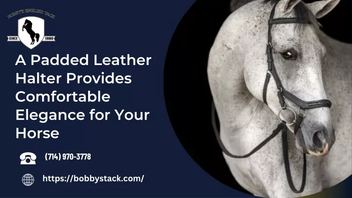a padded leather halter provides comfortable