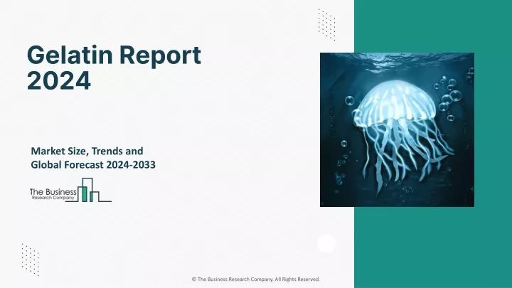 gelatin report 2024