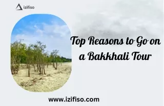 Top Reasons to Go on a Bakkhali Tour