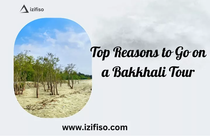 top reasons to go on a bakkhali tour