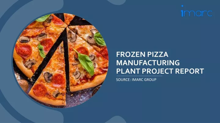 frozen pizza manufacturing plant project report