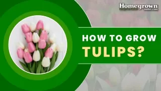 how to grow