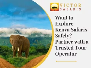 Want to Explore Kenya Safaris Safely Partner with a Trusted Tour Operator