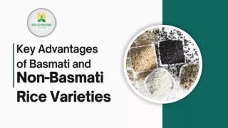 Key Advantages of Basmati and Non-Basmati Rice Varieties