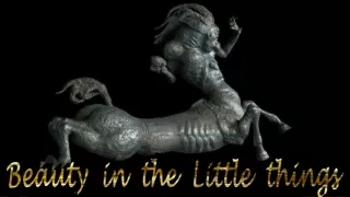 beauty in the little things