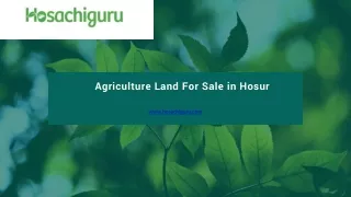 Agriculture Land For Sale in Hosur - Hosachiguru