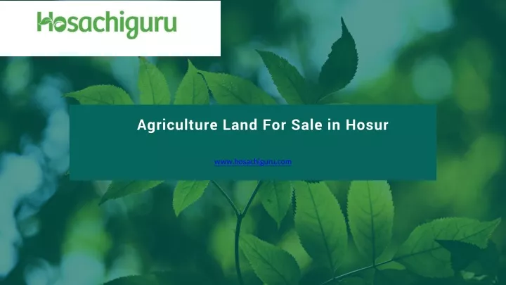 agriculture land for sale in hosur
