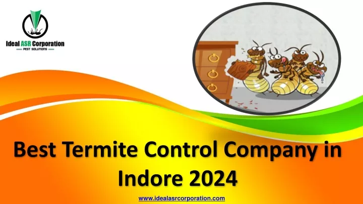 best termite control company in indore 2024